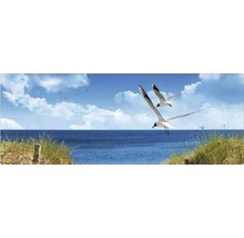 Vedere la mare cu pescăruși zburători și iarbă de plajă