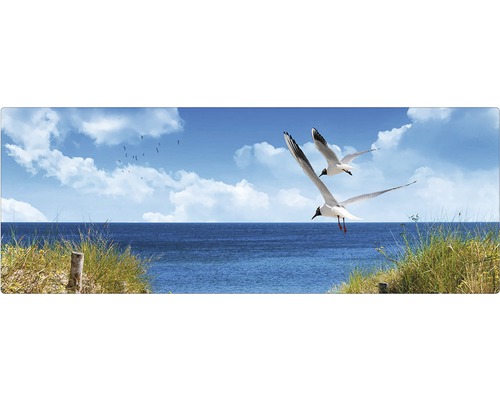 Vedere la mare cu pescăruși zburători și iarbă de plajă