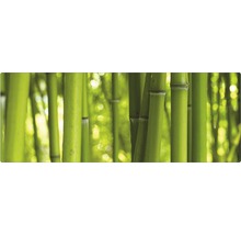 Pădure de bambus detaliată