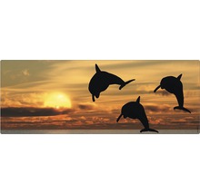 Trei delfini care sar în fața unui apus de soare