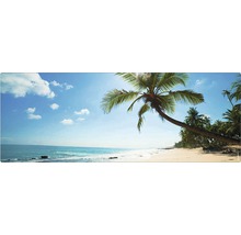 Plajă tropicală cu palmieri sub cer albastru