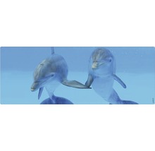 Doi delfini în apă