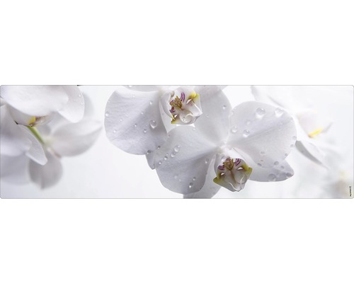 Prim-plan cu flori de orhidee albe cu picături de apă