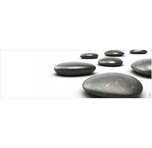 Pietre decorative pentru grădină sau interior