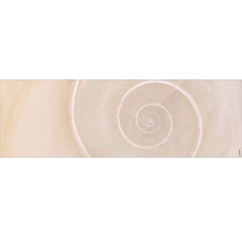 Prim-plan cu o structură de cochilie de melc spiralată, luminoasă