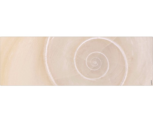 Prim-plan cu o structură de cochilie de melc spiralată, luminoasă