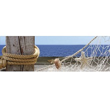 Decoratiune cu stea de mare si plasa de pescuit pe fundal marin