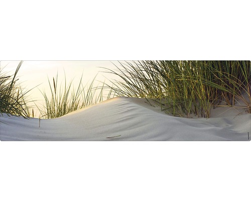 Iarbă de plajă pe o dună de nisip