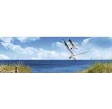 Ilustrație cu pescăruși deasupra mării, peisaj de coastă