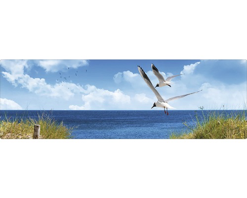 Ilustrație cu pescăruși deasupra mării, peisaj de coastă