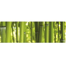 Pădure de bambus cu tulpini apropiate