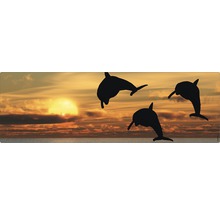 Mousepad cu motive cu delfini și apus de soare