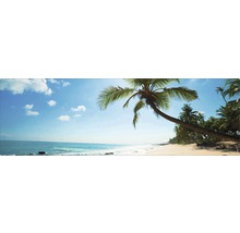 Fotografie panoramică a unei plaje cu palmieri