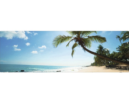 Fotografie panoramică a unei plaje cu palmieri