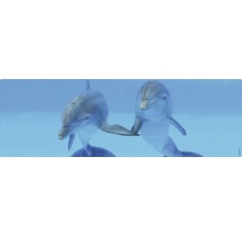 Imagine decorativă cu doi delfini sub apă