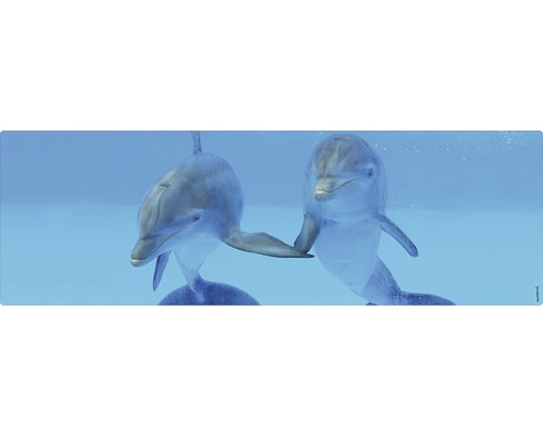 Imagine decorativă cu doi delfini sub apă