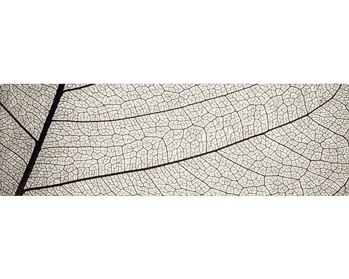 Prim-plan cu structura scheletului unei frunze