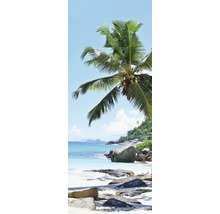 Vedere la plajă cu stânci și palmier