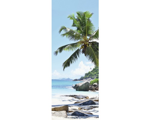 Vedere la plajă cu stânci și palmier