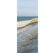 Iarbă de dune pe plajă