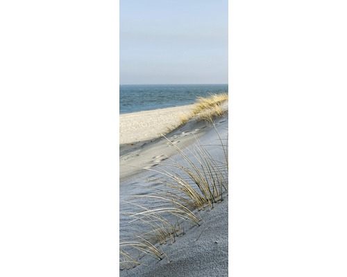 Iarbă de dune pe plajă