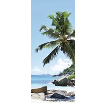 Palmieri pe plajă cu stânci și mare albastră