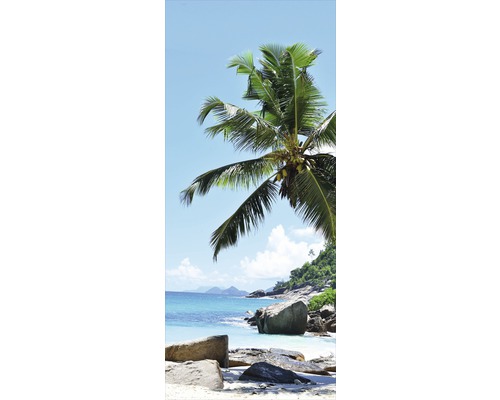 Palmieri pe plajă cu stânci și mare albastră