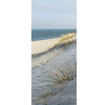 Dună cu iarbă de plajă în fața mării