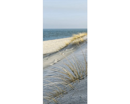 Dună cu iarbă de plajă în fața mării