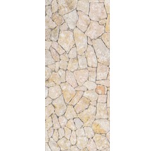 Placare perete de piatră cu aspect de piatră naturală