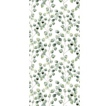 Model de frunze de eucalipt