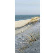 Iarbă de plajă pe o dună de la mare