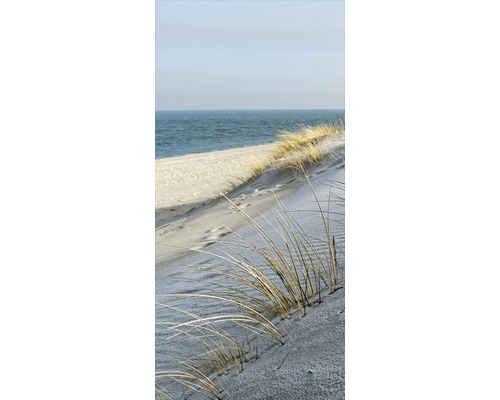 Iarbă de plajă pe o dună de la mare