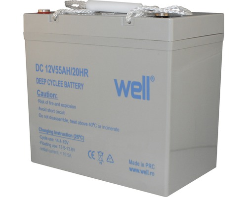 Baterie Well DC 12V 55Ah/20HR Deep Cycle
