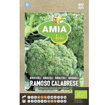 Bio Semințe legume Amia broccoli-thumb-0