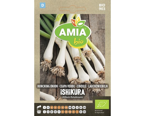Bio Semințe legume Amia ceapă verde