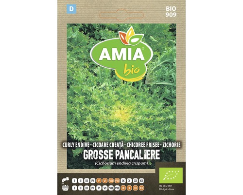 Bio Semințe de cicoare creață Amia