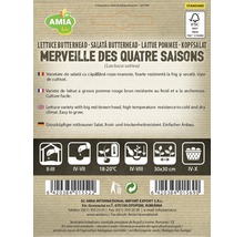 Pachet de semințe salată butterhead Merveille des Quatre Saisons