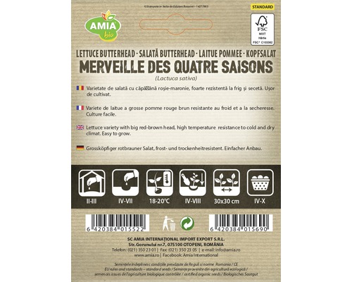 Pachet de semințe salată butterhead Merveille des Quatre Saisons