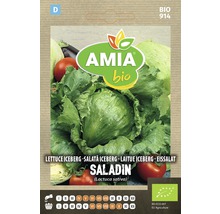 Bio Semințe de salată Aisberg Amia-thumb-0