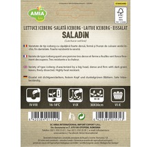 Bio Semințe de salată Aisberg Amia-thumb-1
