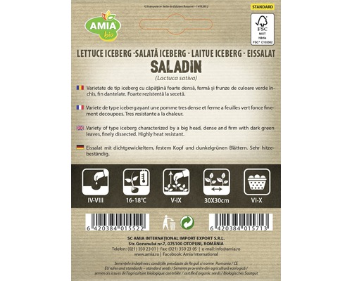 Pachet semințe salată iceberg Saladin