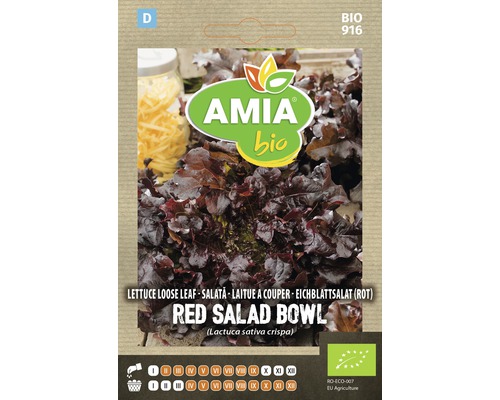 Bio Semințe de salată roșie Amia-0