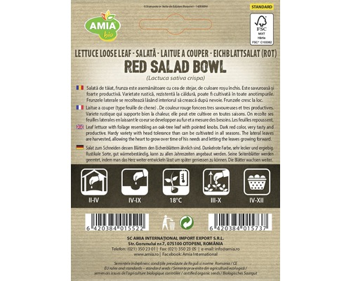 Pliculeț de semințe salată roșie cu frunze crețe, cu informații despre cultivare și recoltare