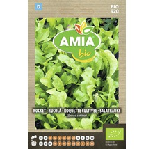 Bio Semințe de rucola Amia-thumb-0