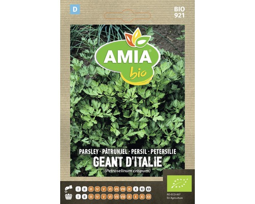 Bio Semințe de pătrunjel gigant Amia