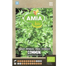 Pachet de semințe de pătrunjel Amia Bio