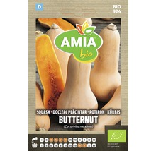 Bio Semințe legume Amia dovleac plăcintar-thumb-0