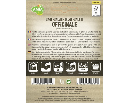 Pachet de semințe de salvie cu informații despre cultivare și îngrijire