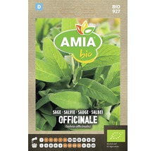 Bio Semințe de salvie Amia-thumb-0